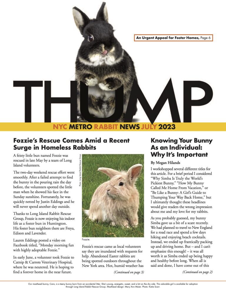 Thump Newsletter July 2023