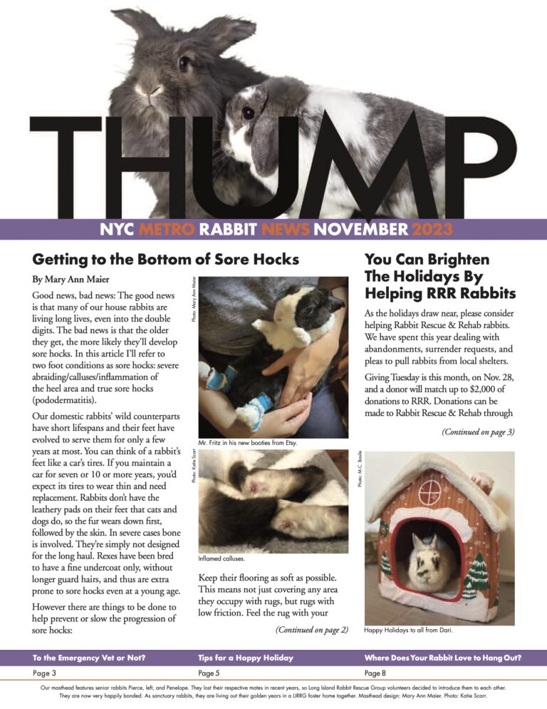Long Island Rabbit Rescue Group - Thump Newsletter Nov 2023