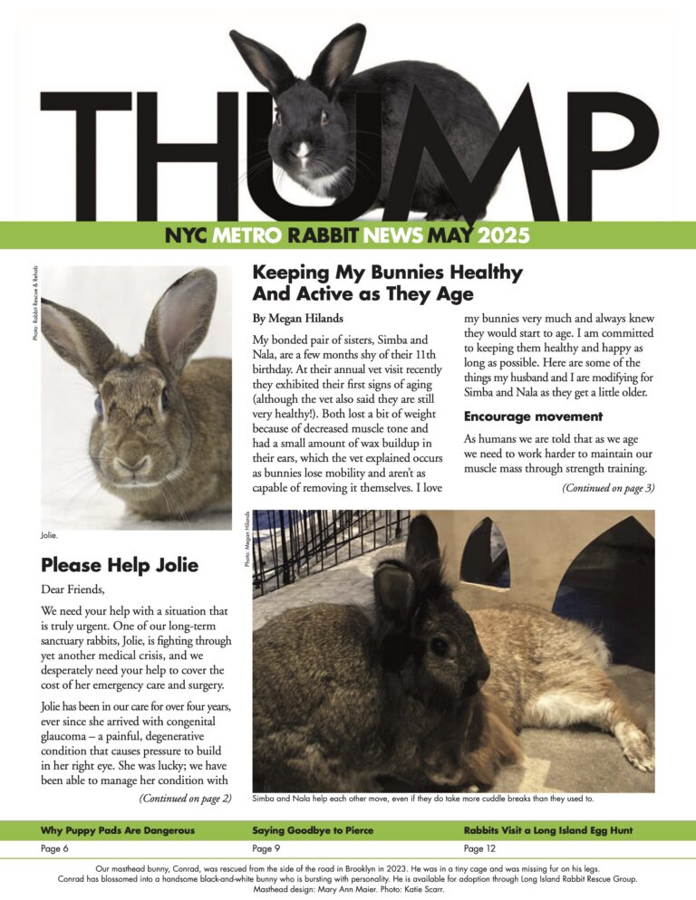 Thump Newsletter May 2025 - Long Island Rabbit Rescue Group