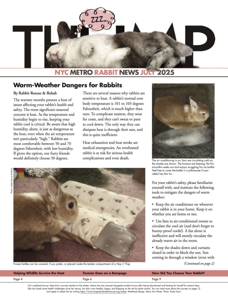 Thump Newsletter July 2025