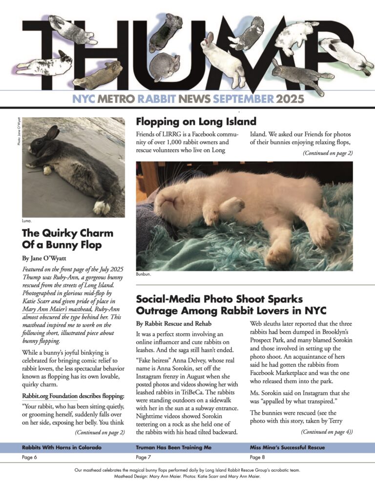 Thump Newsletter, September 2025 - Long Island Rabbit Rescue Group