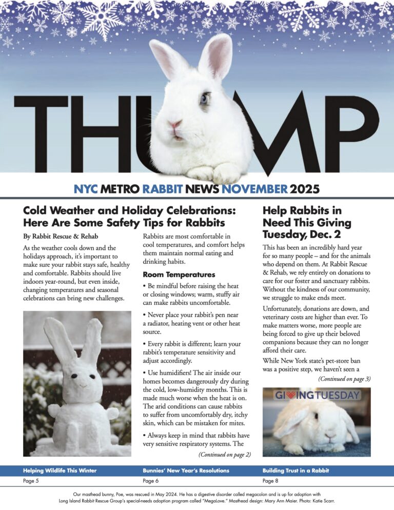 Long Island Rabbit Rescue Group - Thump Newsletter November 2025