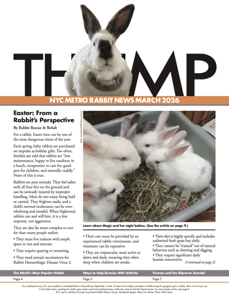 Thump Newsletter March 2026 - Long Island Rabbit Rescue Group