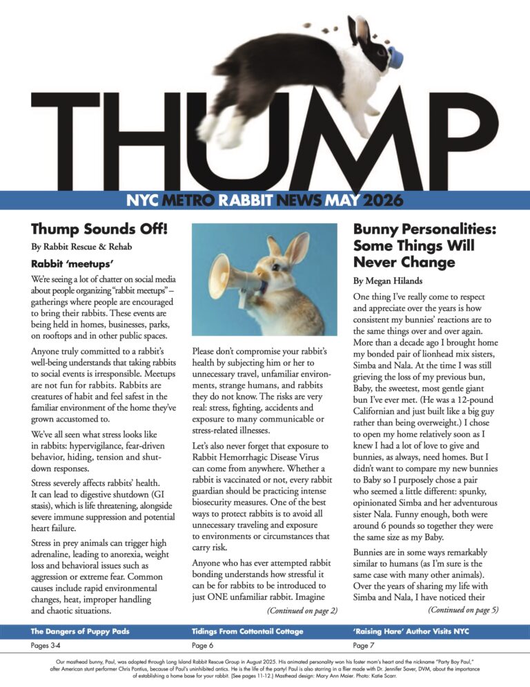 Thump Newsletter May 2026 - Long Island Rabbit Rescue Group