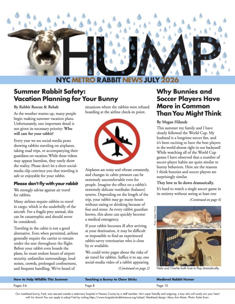 Long Island Rabbit Rescue Group - Thump Newsletter July 2026