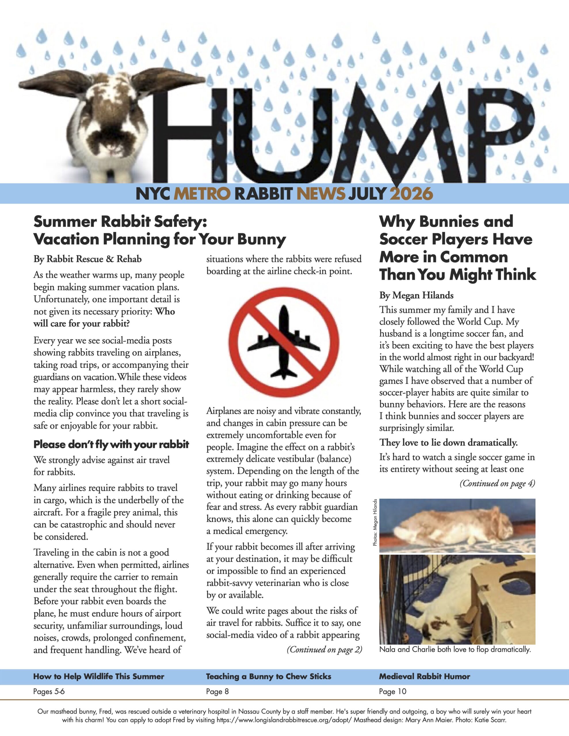 Long Island Rabbit Rescue Group - Thump Newsletter July 2026